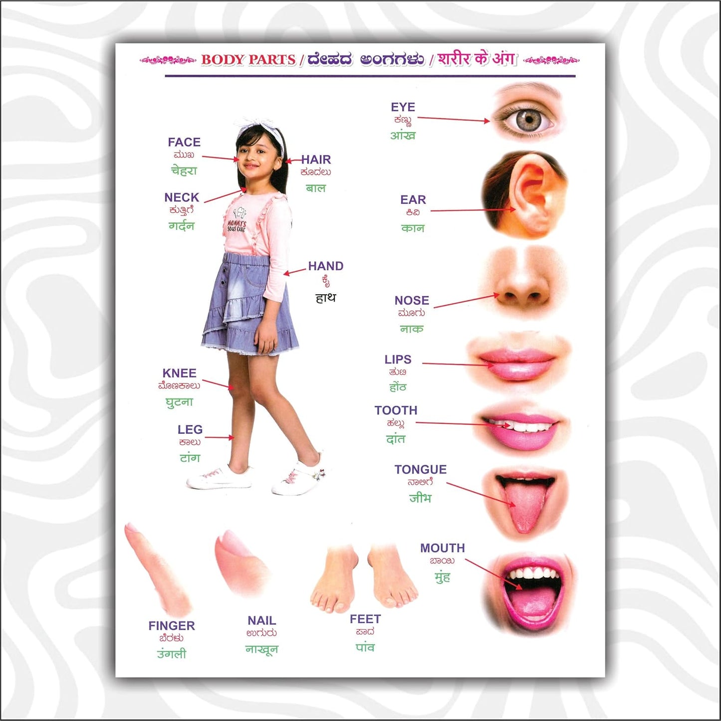 All in One Kids Learning Book | Trilingual Early Education Book (English, Hindi & Kannada) | Alphabets A–Z, Numbers 1–123, Varnamala | Animals, ... Preschool, Nursery & Kindergarten Children