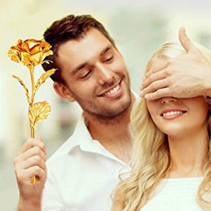 Golden Rose Used In All Kinds Of Places Like Household Offices Cafes Etc. For Decorating And To Look Good Purposes And All.