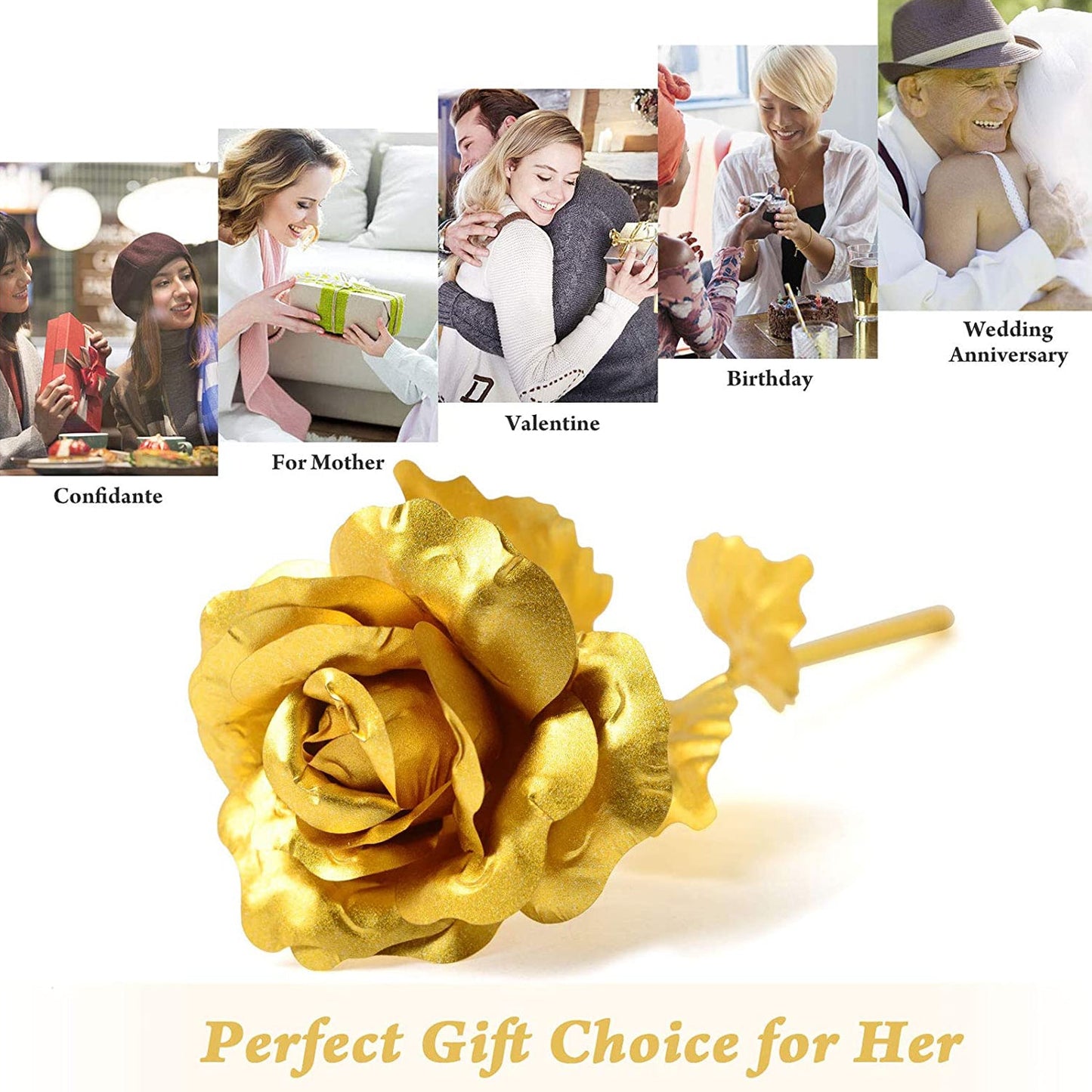 Golden Rose Used In All Kinds Of Places Like Household Offices Cafes Etc. For Decorating And To Look Good Purposes And All.